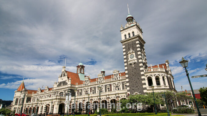 Dunedin_5943