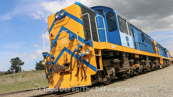 Pukerangi_8027
