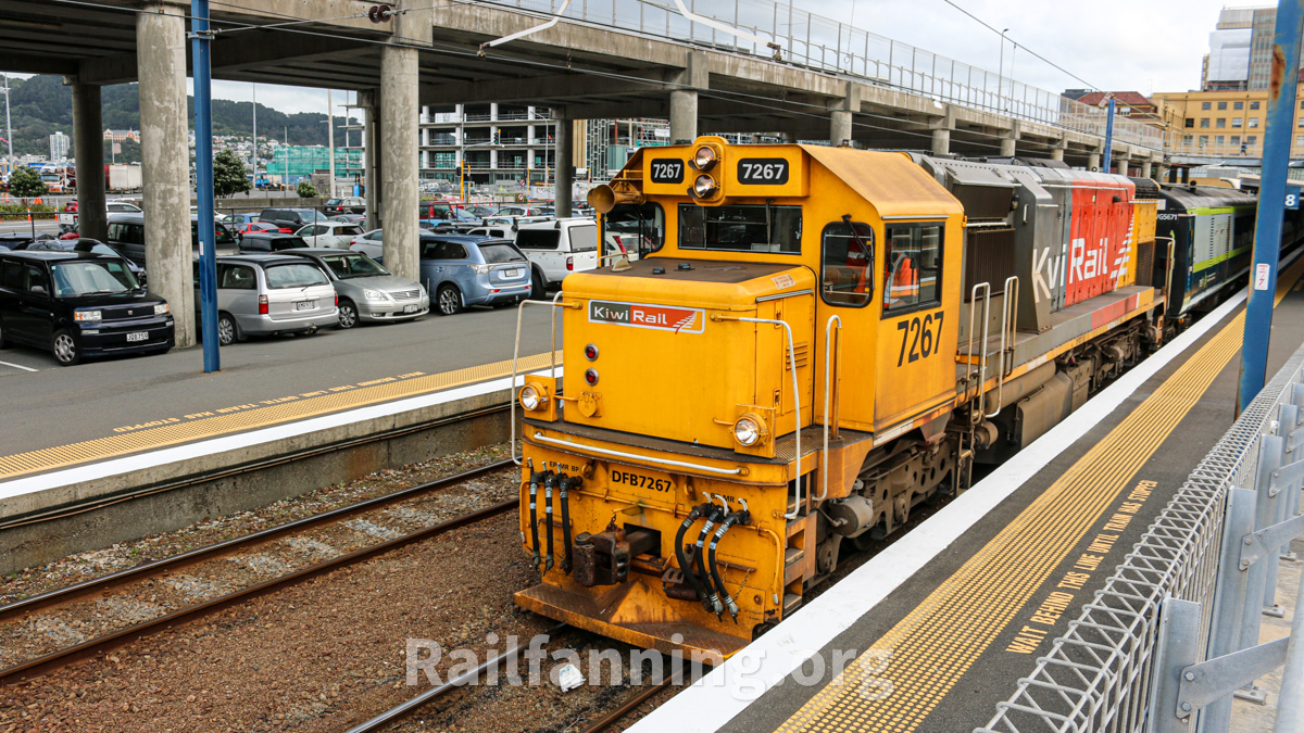 Wellington_2019_4778